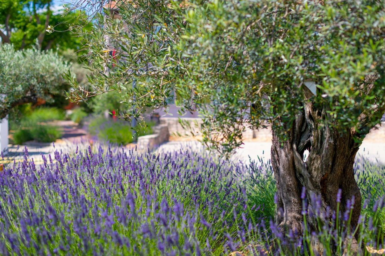 Terre De Provence Hotel & Spa Le Pontet  Exterior foto